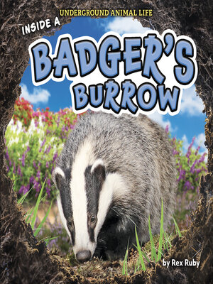 cover image of Inside a Badger's Burrow